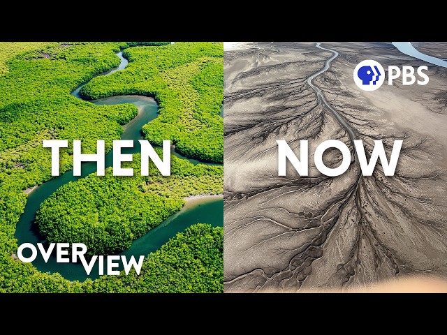 Who Killed the Colorado River?