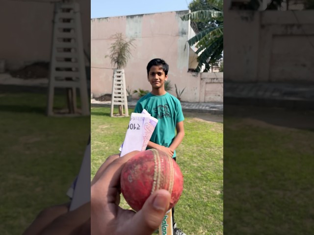 1 over cricket challenge | Backyard cricket #cricketvideo #shorts