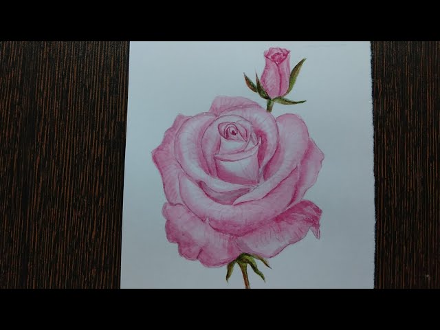 Watercolourpainting | for beginners | flowerpainting |#painting #watercolorpainting #easypainting