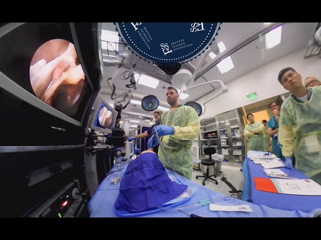 360 video - Prosection: SPA Ligation, Pterygomaxillary Space & Vidian Foramina - Ian Humphreys, D.O.