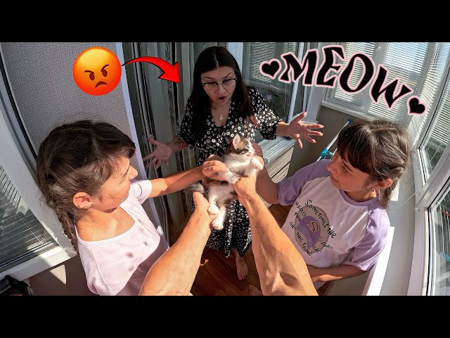 WE HIDE CUTE KITTY FROM CRAZY MOM. HOW WOULD YOU HANDLE IT? (Epic Funny POV Chase) @DumitruComanac