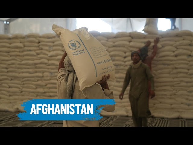 Urgent Crisis Alert: Afghanistan Faces Catastrophic Food Shortage | WFP News