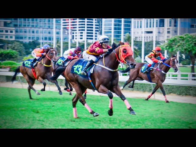 KOR TOD KUB wins! - 15/09/2024 - Race 10 - Thoroughbred Division 2