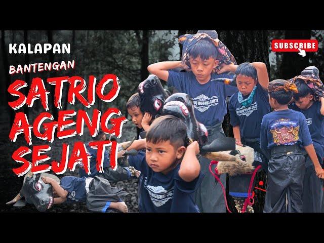 KALAPAN BANTENGAN KIDS SATRIO AGENG SEJATI - LIVE  SEKARPUTIH - KOTA BATU