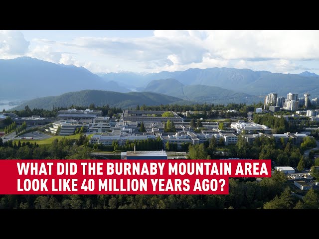 SFU professor unearths the ancient fossil plant history of Burnaby Mountain