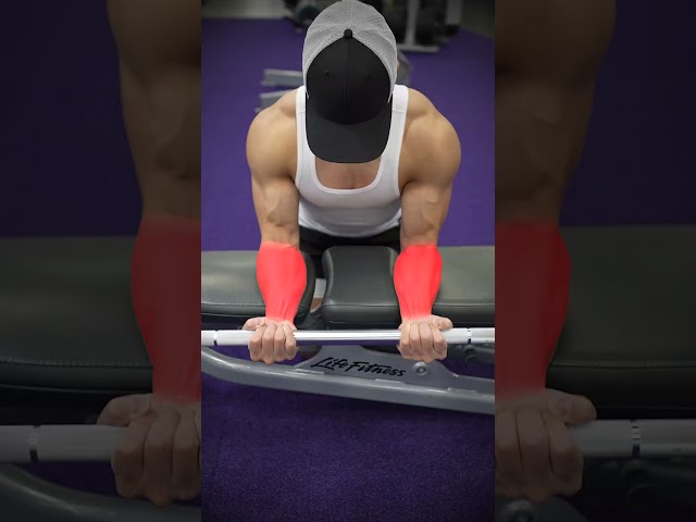 Forearm Exercise Variations (KNOW THE DIFFERENCE!)