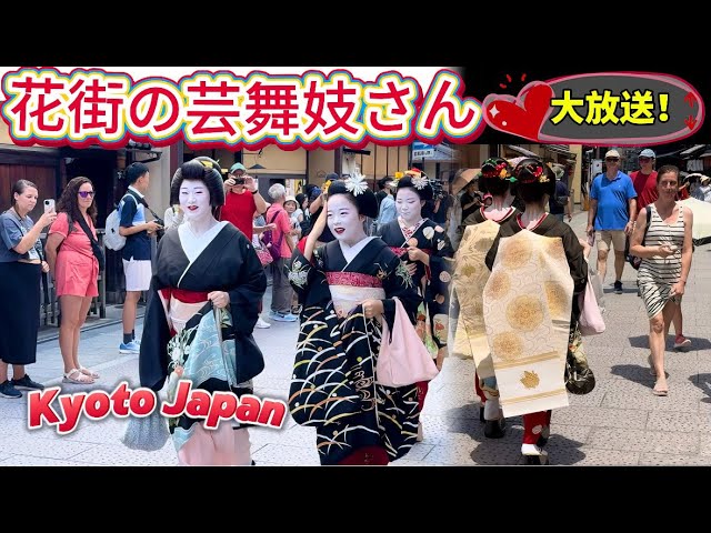 Maiko from the entertainment district on a big announcement! Delighted foreign tourists! Kyoto.