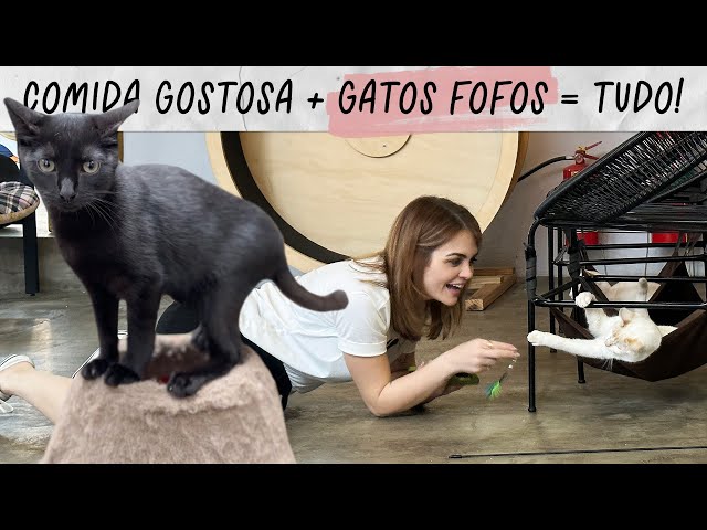 VLOG: VISITAMOS UM CAFÉ COM GATINHOS EM SÃO PAULO • Karol Pinheiro e Maqui Nóbrega