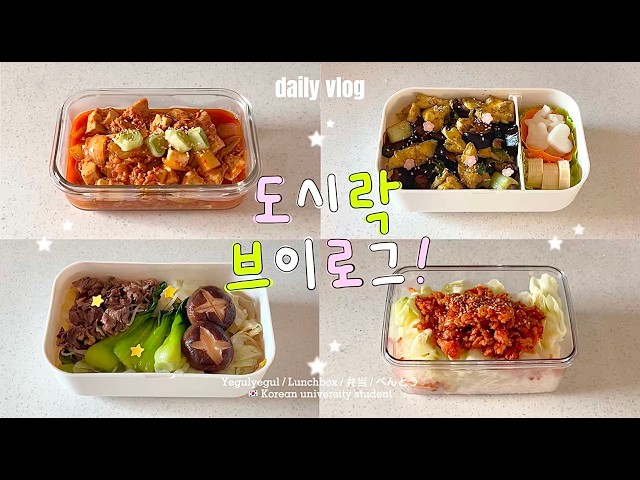 🇰🇷🍱 A simple lunch box made by a Korean college student