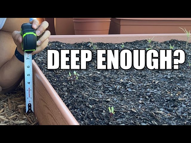 Does Soil Depth Matter?