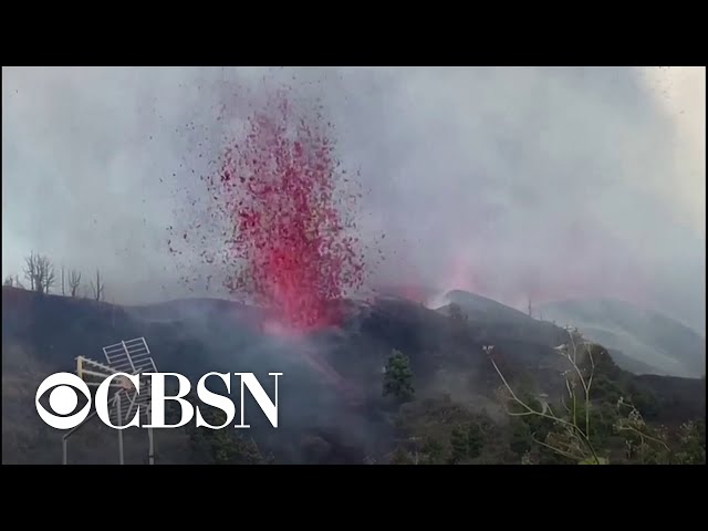 Watch: Volcano erupts on Spain's La Palma island