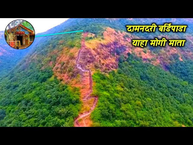 याहा मोगी दामनदरी बर्डिपाडा माता || देव मोगरा माता मंदिर Bardipada 2020