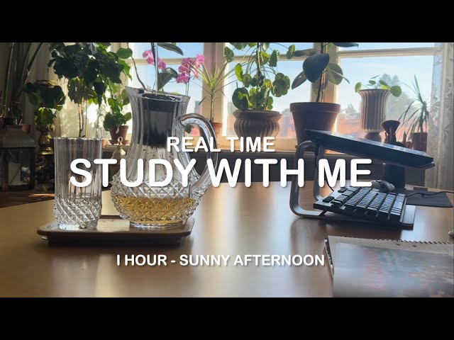 Real time STUDY WITH ME (no music): 1h motivation, Background noise, Productive, No break/pomodoro