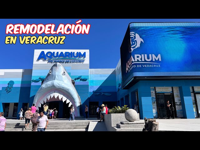 ✅ Así quedó la remodelación del ACUARIO EN VERACRUZ 2025 // regresan los delfines