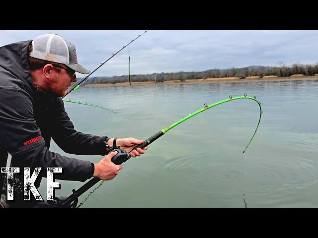 3 KEY TACTICS To Catch MONSTER Winter Catfish ANYWHERE!