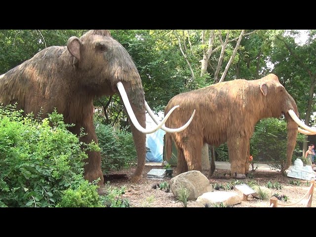 PSVR/QUEST 3D: MILWAUKEE ZOO Ice Age Animatronics