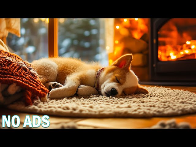 Soothing Music for Anxious Dogs🐾Soothing Sounds to Help Dogs Relax💖🎶Dogs Sleep Music