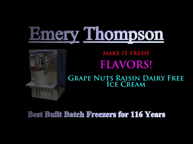 Grape Nuts Raisin Dairy Free Ice Cream