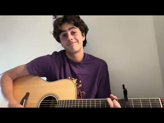 Down Bad - Taylor Swift Guitar Cover by Luca