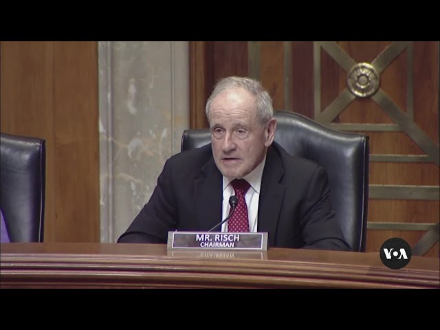 US lawmakers warn of dangers of allowing China, Russia into Syria | VOA News