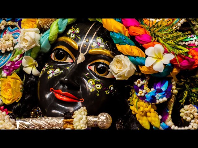 Hare Krishna  Kirtan  6  || 4K || Sachi Kumar Das || 2021 ||