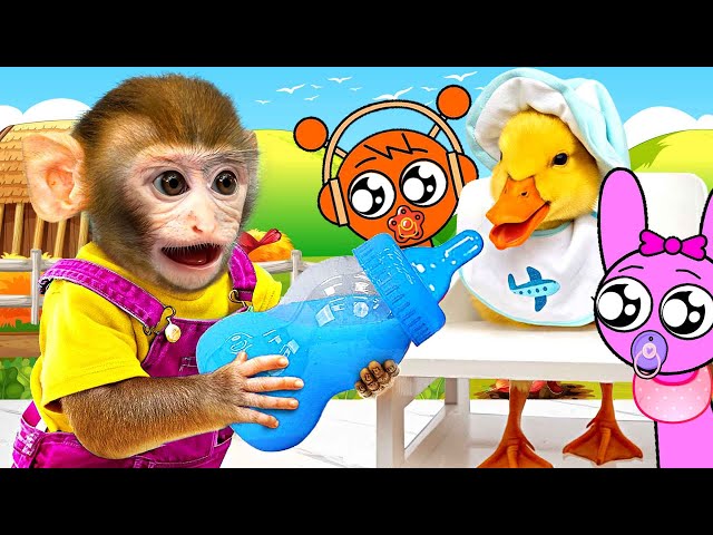 Monkey BeBe Takes Care of the Duckling and INCREDIBOX SPRUNKI Super Adorable on the Farm|MONKEY BEBE