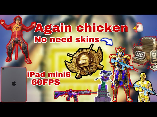 Again chicken 🐔 | No Need skins | iPad mini6 GamePlay 🔥| with Pakistan player |