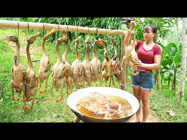 Harvesting Ducks and Cook Whole Fried Duck Goes To The Market Sell - Farm Life | Tiểu Vân Daily Life