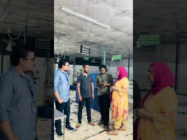 Exploring Exotic Farm of Asian Swamp Eel at Trade Fishery International! in Dhaka. 🐟🇧🇩 #NSU #MKT355