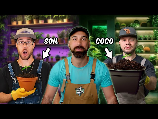 Is Soil or Coco The Better Growing Medium? | From The Stash: Highly Educational Episode 2