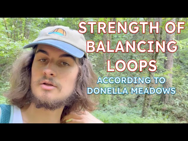 Leverage Point 8: Strength of Balancing Loops || Systems Theory