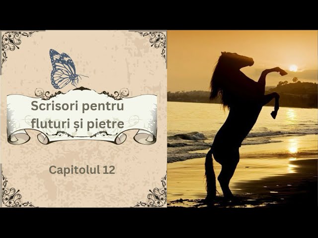 Scrisori pentru fluturi și pietre de Călin Gruia - Capitolul 12/89 - Audiobook