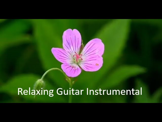 Cinematic Relaxing Guitar Instrumental Royalty Free Background Music by CLOUDMUSIC