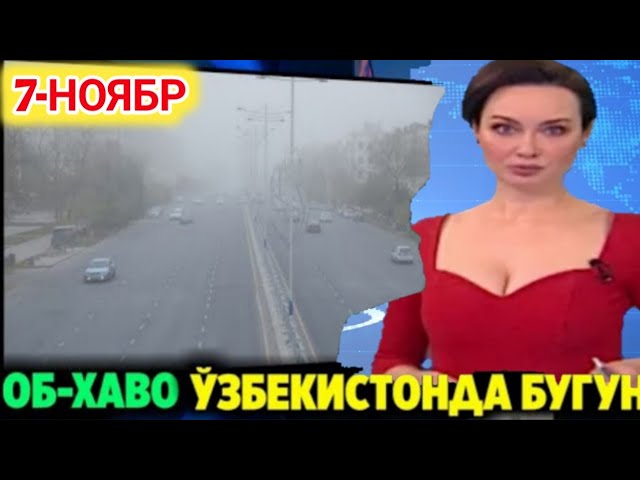 ОБ-ХАВО БУГУН ЎЗБЕКИСТОНДА ЎЗГАРИБ ТУРАДИ ШОШИЛИНЧ...