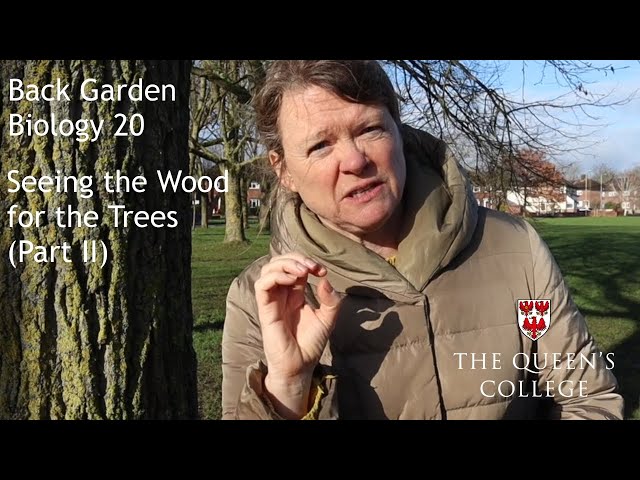 Seeing the Wood for the Trees (Part II) | Back Garden Biology 20 with Dr Lindsay Turnbull