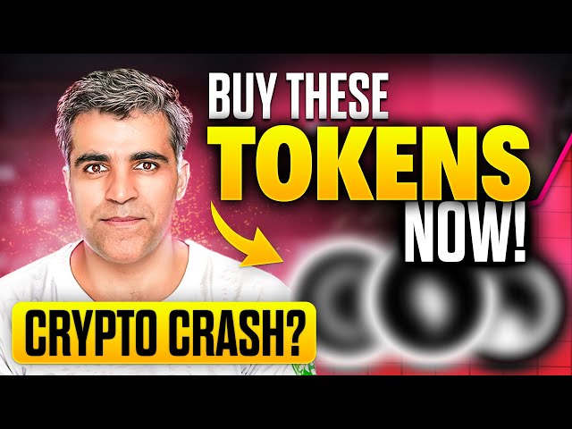 📉 CRYPTO BLOODBATH = OPPORTUNITY! Best Short & Long-Term Picks (Feb 2025)