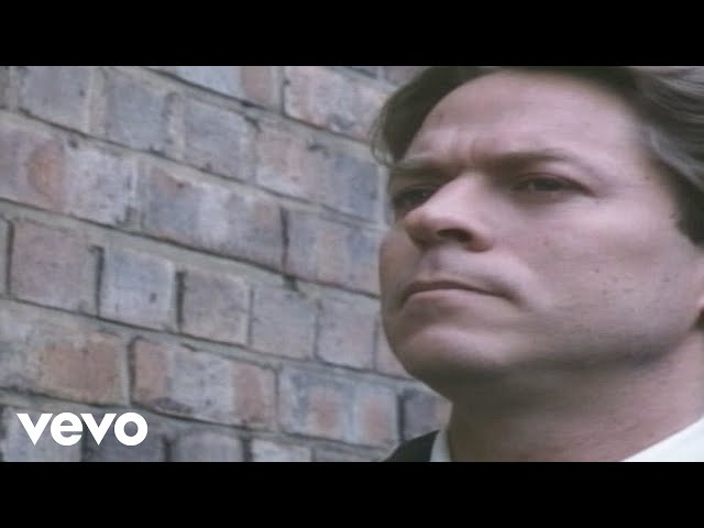 Robert Palmer - Riptide