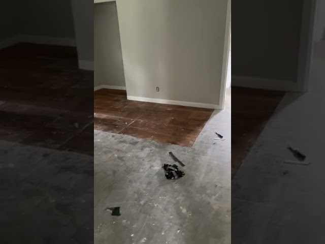 Sarah St update doing the hard work. Removing old vinyl floors to get the the hardwood.