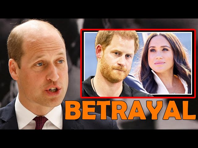 Seven Words Prince William Couldn't Escape After Harry And Meghan's Betrayal