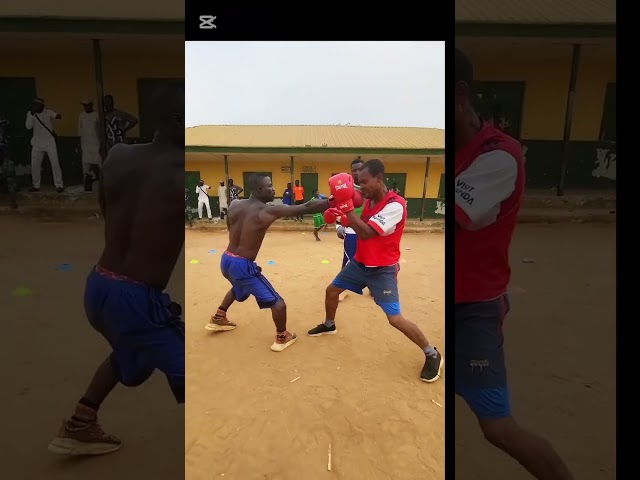 Ayeke entertainment vs Alfa wow work #boxerdogsoftiktok #sports #boxworld #boxing #mma #boxingdrills