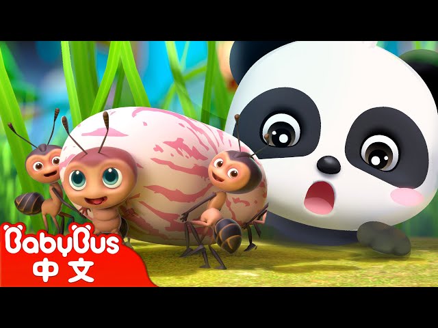 螞蟻搬豆 | 經典中文兒歌 | 熱門國語兒歌 | Kids Song | 童謠 | 動畫 | 卡通片 | BabyBus | 寶寶巴士