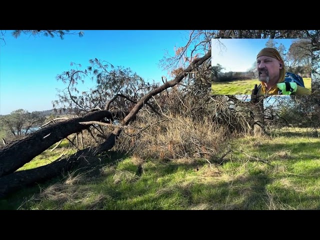 Brown’s Ravine Solo Hike