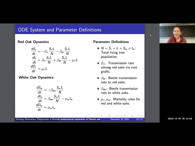 Morsels from Numbers and Nature Talk 13: Yorkinoy Shermatova