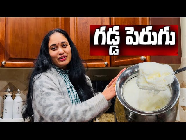 DIY GADDA PERUGU || how to make curd at home in Telugu || groceries shopping | kitchen organization