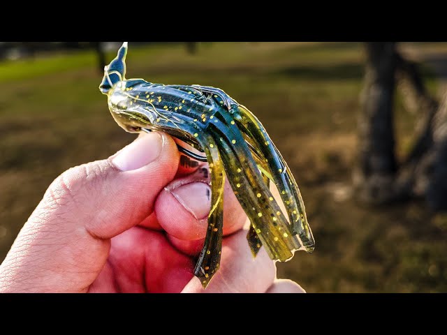 New generation of tube baits? Testing the VILETUBE by BIOSPAWN! (MY THOUGHTS?)