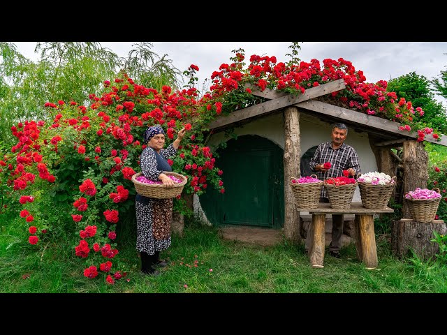 🌹 Traditional Rose Jam: Homemade Recipe from Fresh Roses