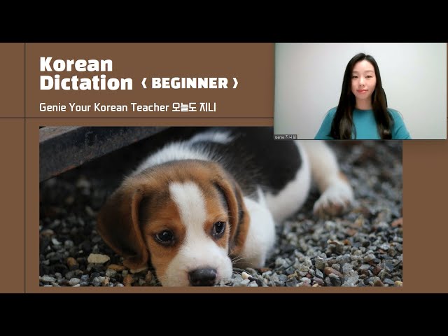 27. [Korean Dictation Practice] BEGINNER (Practice Korean only in 13 minutes!)