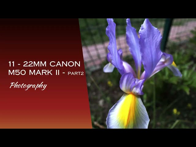 11-22 Lens EF-M mount for CANON M50 MARK II | Photography | Part 2