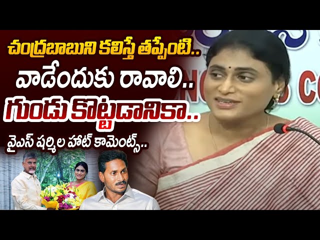 రానివ్వను.. | AP Congress Chief YS Sharmila HOT COMMENTS on AP CM CHandrababu adn YS jagan| TV5 News