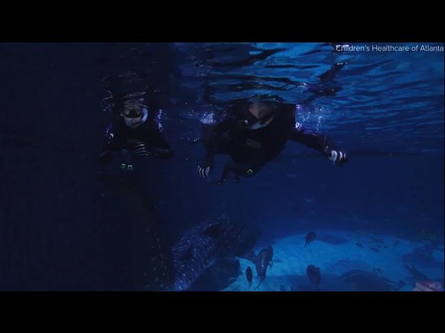 Children's Healthcare of Atlanta patients dive at Georgia Aquarium